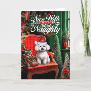 Cartes Pour Fêtes Annuelles Bichon Frise Chien de Noël Naughty ou Nice