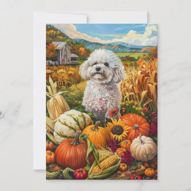 Cartes Pour Fêtes Annuelles Bichon Frise Chien Moisson d'automne Thankgiving (Devant)