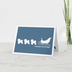 Cartes Pour Fêtes Annuelles Bichon Frise Pulling Père Noël Sleigh