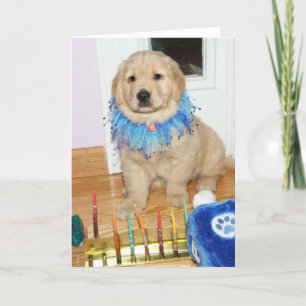 Cartes Pour Fêtes Annuelles Bienheureux Hanoukka de marionnettes d'or 