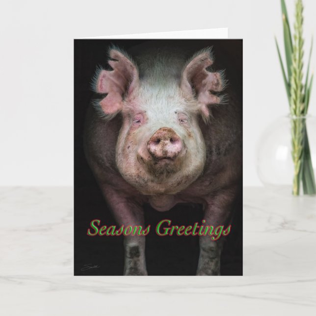 Cartes Pour Fêtes Annuelles Bienvenue cochons (Devant)