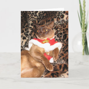 Cartes Pour Fêtes Annuelles Birman 2 de Noël de FPG -