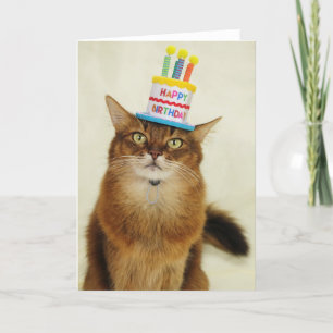Cartes Pour Fêtes Annuelles Birthday Hat Somali Cat