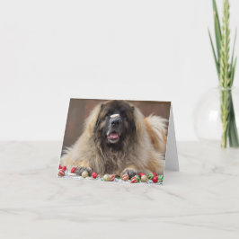 Cartes Pour Fêtes Annuelles biscuit heureux Leonberger