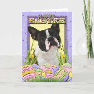 Cartes Pour Fêtes Annuelles Biscuits d'oeuf de pâques - Boston Terrier