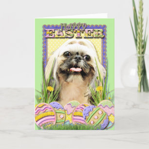Cartes Pour Fêtes Annuelles Biscuits d'oeuf de pâques - Shih Tzu - opale