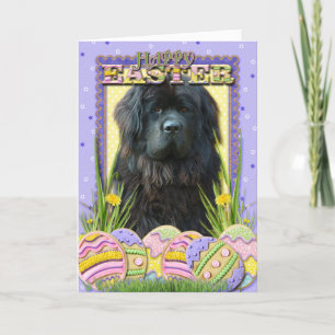 Cartes Pour Fêtes Annuelles Biscuits d'oeuf de pâques - Terre-Neuve