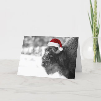 Cartes Pour Fêtes Annuelles Bison Claus