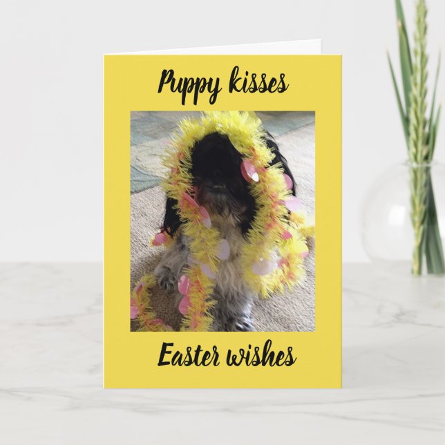 CARTES POUR FÊTES ANNUELLES « BISOUS DE CHIEN » & « VŒUX DE PÂQUES » JUSTE POU (Devant)