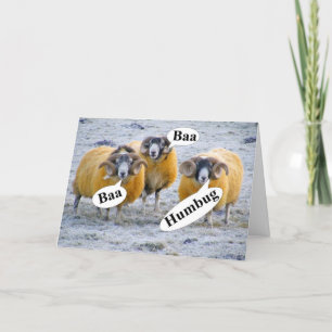 Cartes Pour Fêtes Annuelles Bizarre Noël des moutons trois sages