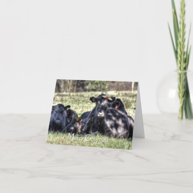 Cartes Pour Fêtes Annuelles Black Angus Holly Merry Cowmas (Devant)
