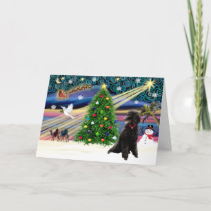 Cartes Pour Fêtes Annuelles Black H-noir de Magic Poodle