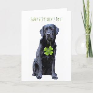 Cartes Pour Fêtes Annuelles Black Labrador Four Leaf Clover St. Patrick