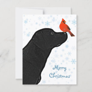 Cartes Pour Fêtes Annuelles Black Labrador Joyeux Noël et cardinal