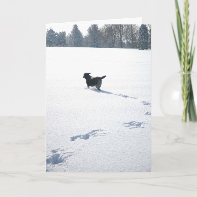 Cartes Pour Fêtes Annuelles Black Labrador Plays (Devant)