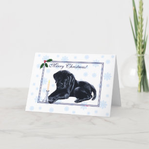 Cartes Pour Fêtes Annuelles Black Labrador Retriever Christmas Snowflo