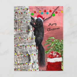 Cartes Pour Fêtes Annuelles Black Squirrel Christmas Flat Holiday Card