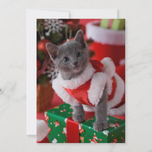 Cartes Pour Fêtes Annuelles Bleu bleu russe et Noël 2