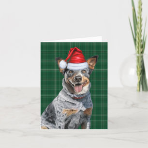 Cartes Pour Fêtes Annuelles Bleu Heeler Chien de Noël Vert Plaid Noël