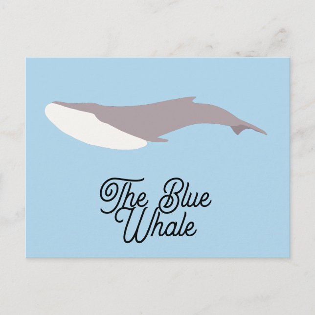 Cartes Pour Fêtes Annuelles Bloc de couleur Baleine bleue (Devant)