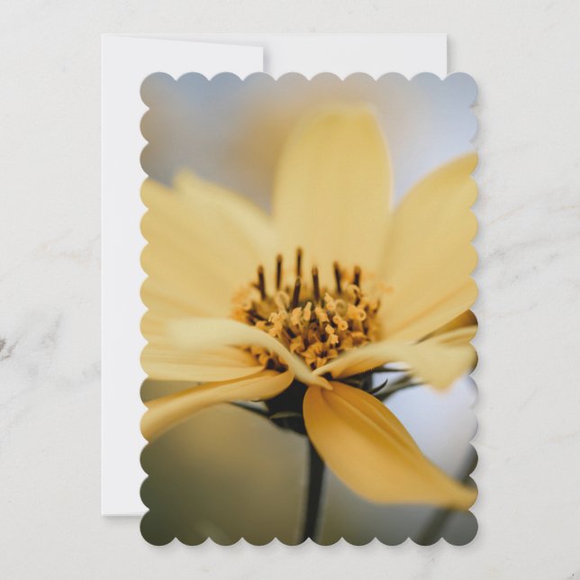 CARTES POUR FÊTES ANNUELLES BLOM DE FLEURS (Devant)