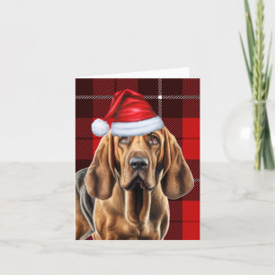 Cartes Pour Fêtes Annuelles Bloodhound Red Seasal Plaid Noël