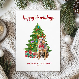 Cartes Pour Fêtes Annuelles Blue Heeler Happy Howlidays Card