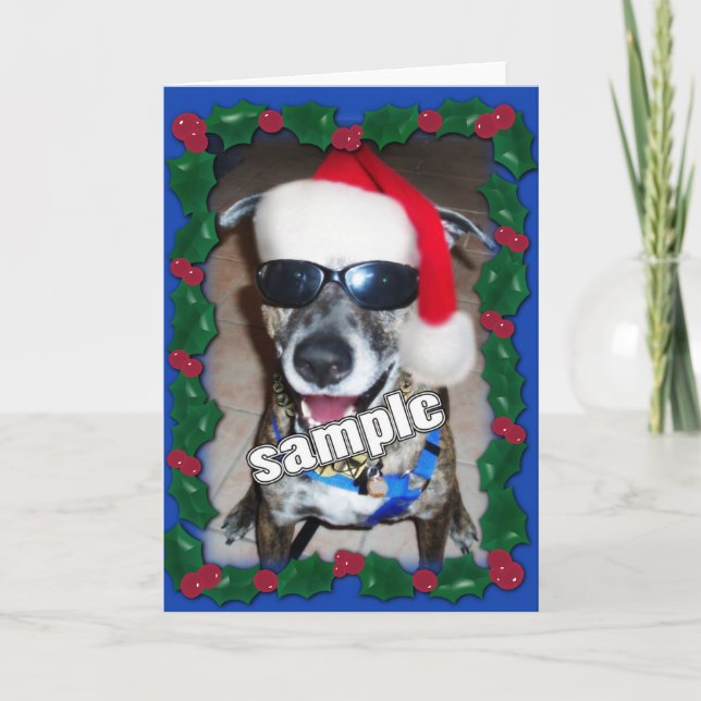 Cartes Pour Fêtes Annuelles Blue Holly Frame pour votre photo de Noël! (Devant)
