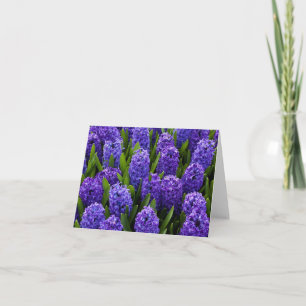 Cartes Pour Fêtes Annuelles Blue Hyacinth