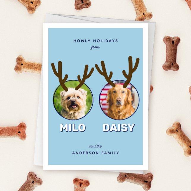 Cartes Pour Fêtes Annuelles Blue Reinpet 2 Photo Animal de Noël (blue two photo pet Christmas holiday card with message "Howly Holidays" with two sets of antlers)