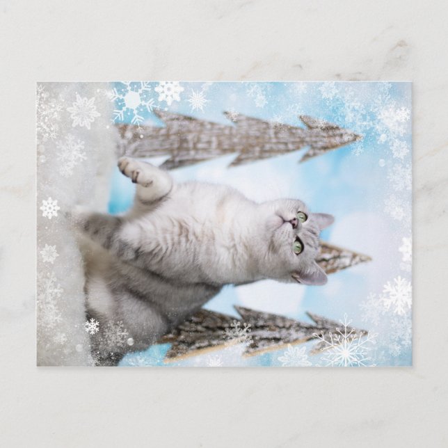 Cartes Pour Fêtes Annuelles Blue XMAS 2018 (Devant)