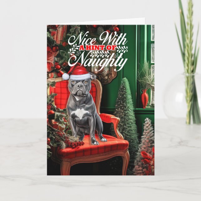 Cartes Pour Fêtes Annuelles Bluenose Pitbull Dog Naughty ou Nice Noël (Devant)