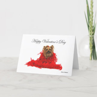Cartes Pour Fêtes Annuelles Boa rouge Valentine de Yorkie