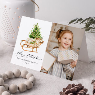 Cartes Pour Fêtes Annuelles Boho Watercolor Sleigh 2 Photo