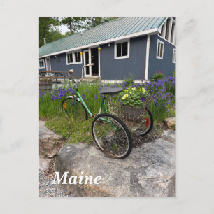 Cartes Pour Fêtes Annuelles Bois de fond pittoresques du Maine