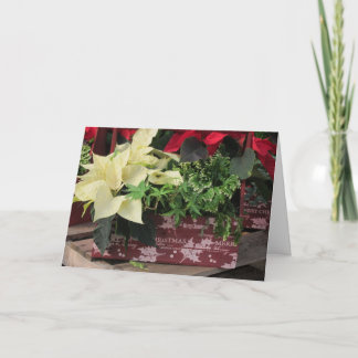 Cartes Pour Fêtes Annuelles Boîte de Noël