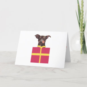Cartes Pour Fêtes Annuelles Boîte de Pinscher miniature