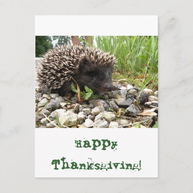 Cartes Pour Fêtes Annuelles Bon thanksgiving ! (Devant)