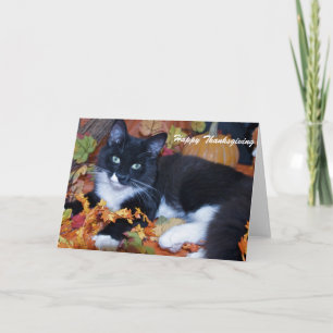 Cartes Pour Fêtes Annuelles bon thanksgiving