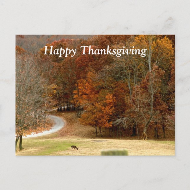 Cartes Pour Fêtes Annuelles Bon thanksgiving Automne Photo Automne Arbres Cerf (Devant)