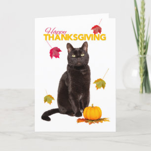 Cartes Pour Fêtes Annuelles bon thanksgiving Cute Chat Noir Avec Feuilles D'Au
