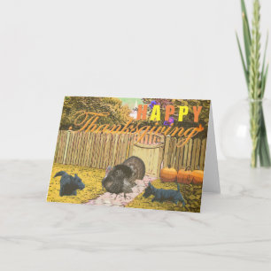 Cartes Pour Fêtes Annuelles Bon thanksgiving de Scottie