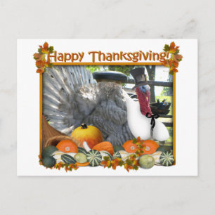 Cartes Pour Fêtes Annuelles Bon thanksgiving de Tom le Pèlerin Turquie
