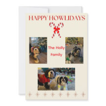 Bonbons de Joyeux Howlidays et scintillements