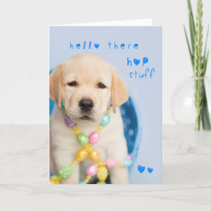 Cartes Pour Fêtes Annuelles Bonjour hop trucs de laboratoire jaune chiot
