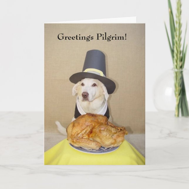 Cartes Pour Fêtes Annuelles Bonjour Pèlerin ! (Devant)
