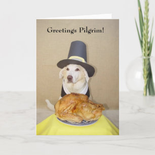 Cartes Pour Fêtes Annuelles Bonjour Pèlerin !