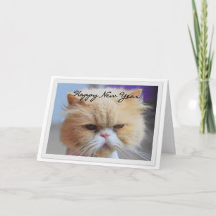 Cartes Pour Fêtes Annuelles Bonne année humour de chat persan