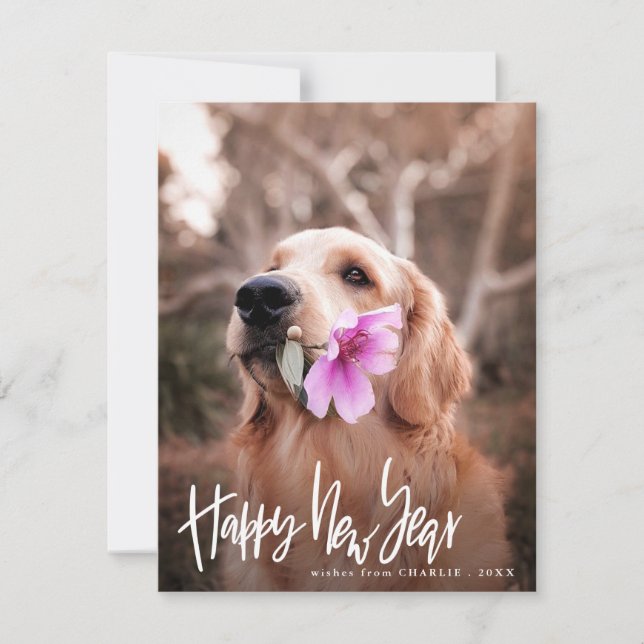 Cartes Pour Fêtes Annuelles Bonne année | Script photo de chien moderne (Devant)
