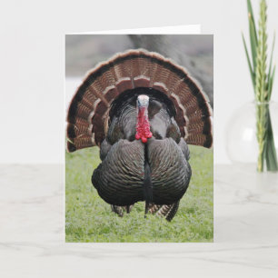 Cartes Pour Fêtes Annuelles Bonne fête de la Turquie !